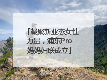 凝聚新业态女性力量，浦东Pro妈妈妇联成立