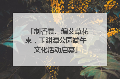 制香囊、编艾草花束，玉渊潭公园端午文化活动启幕