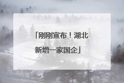 刚刚宣布！湖北新增一家国企