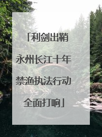 利剑出鞘 永州长江十年禁渔执法行动全面打响