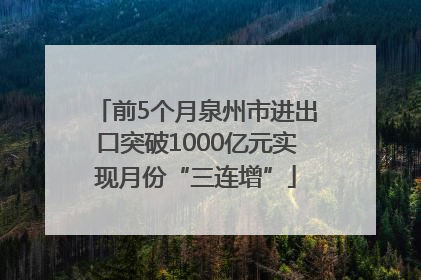 前5个月泉州市进出口突破1000亿元实现月份“三连增”