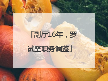 副厅16年，罗试坚职务调整