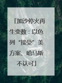 加沙停火再生变数：以色列“接受”美方案、哈马斯不认可