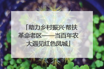 助力乡村振兴·帮扶革命老区——当百年农大遇见红色凤城