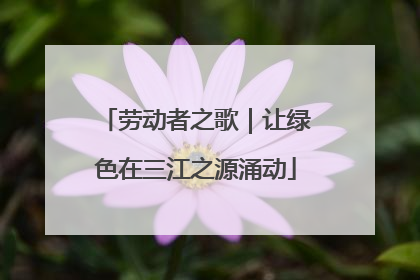 劳动者之歌｜让绿色在三江之源涌动