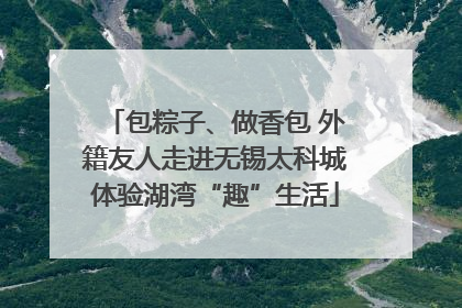 包粽子、做香包 外籍友人走进无锡太科城体验湖湾“趣”生活