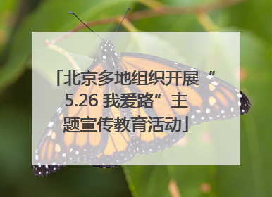 北京多地组织开展“5.26 我爱路”主题宣传教育活动