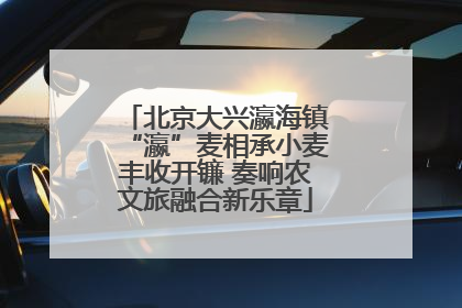 北京大兴瀛海镇“瀛”麦相承小麦丰收开镰 奏响农文旅融合新乐章