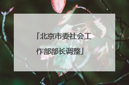 北京市委社会工作部部长调整
