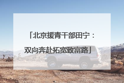 北京援青干部田宁：双向奔赴拓宽致富路