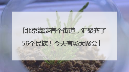 北京海淀有个街道，汇聚齐了56个民族！今天有场大聚会