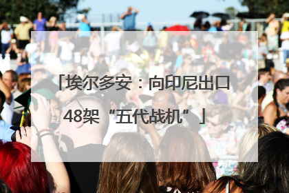埃尔多安：向印尼出口48架“五代战机”