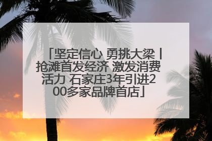 坚定信心 勇挑大梁丨抢滩首发经济 激发消费活力 石家庄3年引进200多家品牌首店