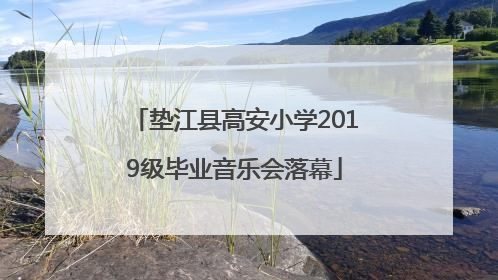 垫江县高安小学2019级毕业音乐会落幕
