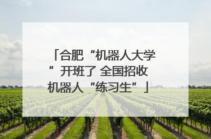 合肥“机器人大学”开班了 全国招收机器人“练习生”
