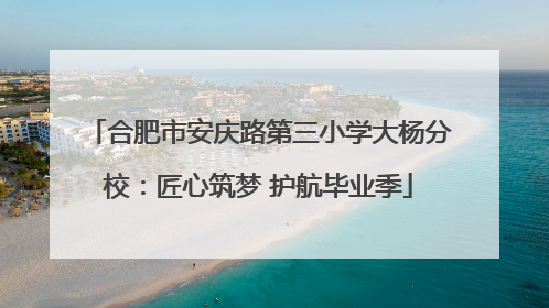 合肥市安庆路第三小学大杨分校：匠心筑梦 护航毕业季