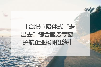 合肥市陪伴式“走出去”综合服务专窗护航企业扬帆出海