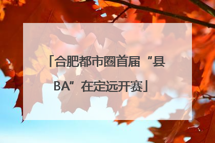 合肥都市圈首届“县BA”在定远开赛
