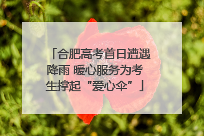合肥高考首日遭遇降雨 暖心服务为考生撑起“爱心伞”