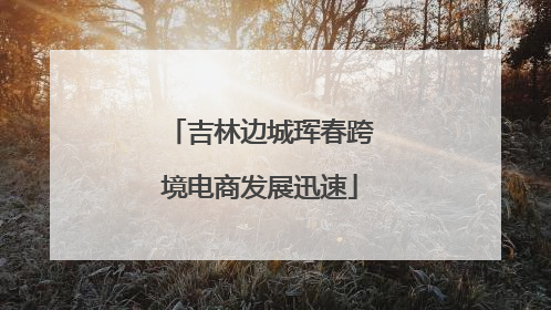 吉林边城珲春跨境电商发展迅速