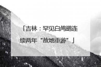 吉林：罕见白鸬鹚连续两年“故地重游”