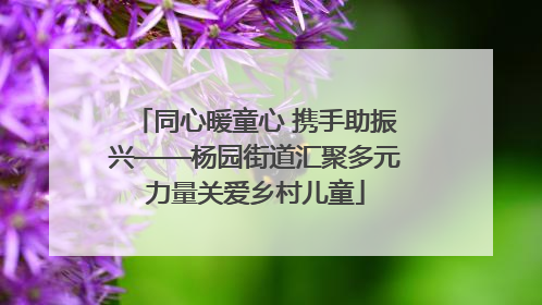 同心暖童心 携手助振兴——杨园街道汇聚多元力量关爱乡村儿童