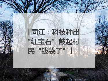 同江：科技种出“红宝石”鼓起村民“钱袋子”