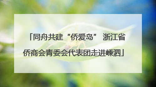 同舟共建“侨爱岛” 浙江省侨商会青委会代表团走进嵊泗