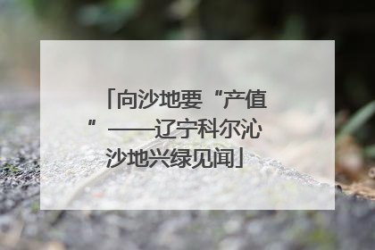 向沙地要“产值”——辽宁科尔沁沙地兴绿见闻