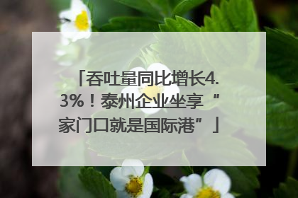 吞吐量同比增长4.3%！泰州企业坐享“家门口就是国际港”