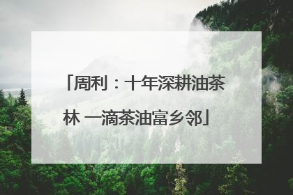 周利：十年深耕油茶林 一滴茶油富乡邻