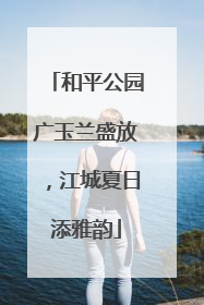 和平公园广玉兰盛放，江城夏日添雅韵
