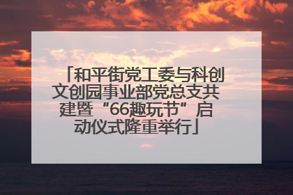和平街党工委与科创文创园事业部党总支共建暨“66趣玩节”启动仪式隆重举行