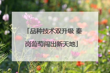 品种技术双升级 秦岗葡萄闯出新天地