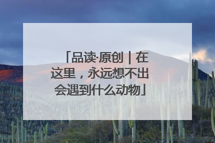 品读·原创｜在这里，永远想不出会遇到什么动物