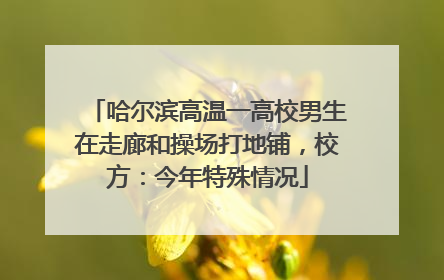 哈尔滨高温一高校男生在走廊和操场打地铺，校方：今年特殊情况