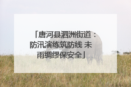 唐河县泗洲街道：防汛演练筑防线 未雨绸缪保安全
