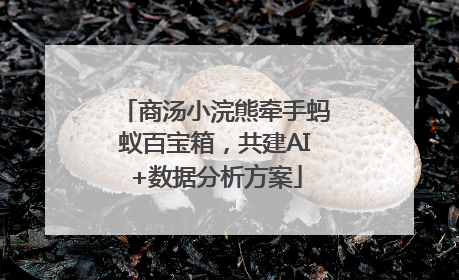 商汤小浣熊牵手蚂蚁百宝箱，共建AI+数据分析方案