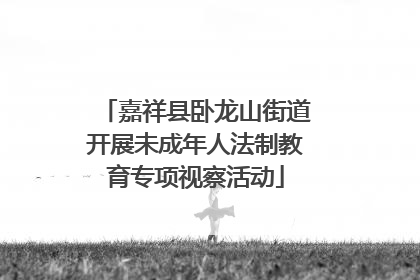 嘉祥县卧龙山街道开展未成年人法制教育专项视察活动