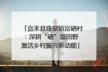 嘉禾县珠泉镇富硒村：深耕“硒”望田野 激活乡村振兴新动能