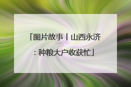 图片故事丨山西永济：种粮大户收获忙