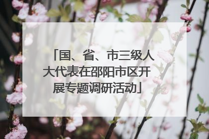 国、省、市三级人大代表在邵阳市区开展专题调研活动