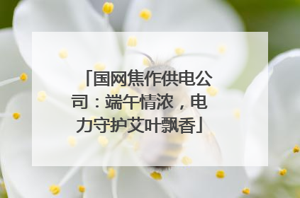 国网焦作供电公司：端午情浓，电力守护艾叶飘香