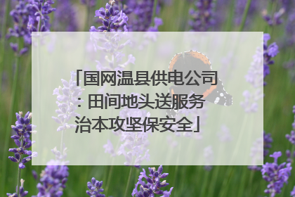 国网温县供电公司：田间地头送服务 治本攻坚保安全