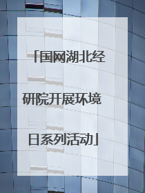 国网湖北经研院开展环境日系列活动