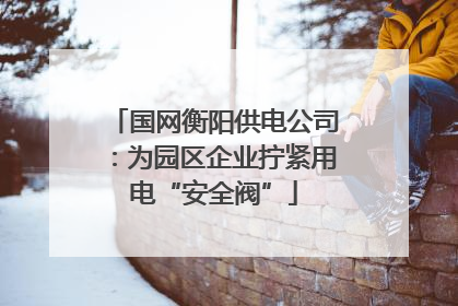 国网衡阳供电公司：为园区企业拧紧用电“安全阀”