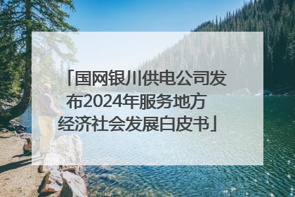 国网银川供电公司发布2024年服务地方经济社会发展白皮书