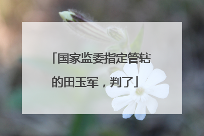 国家监委指定管辖的田玉军，判了
