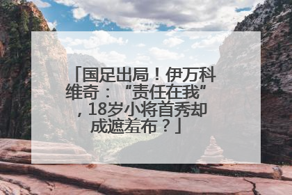 国足出局！伊万科维奇：“责任在我”，18岁小将首秀却成遮羞布？