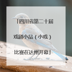 四川省第二十届戏剧小品（小戏）比赛在达州开幕